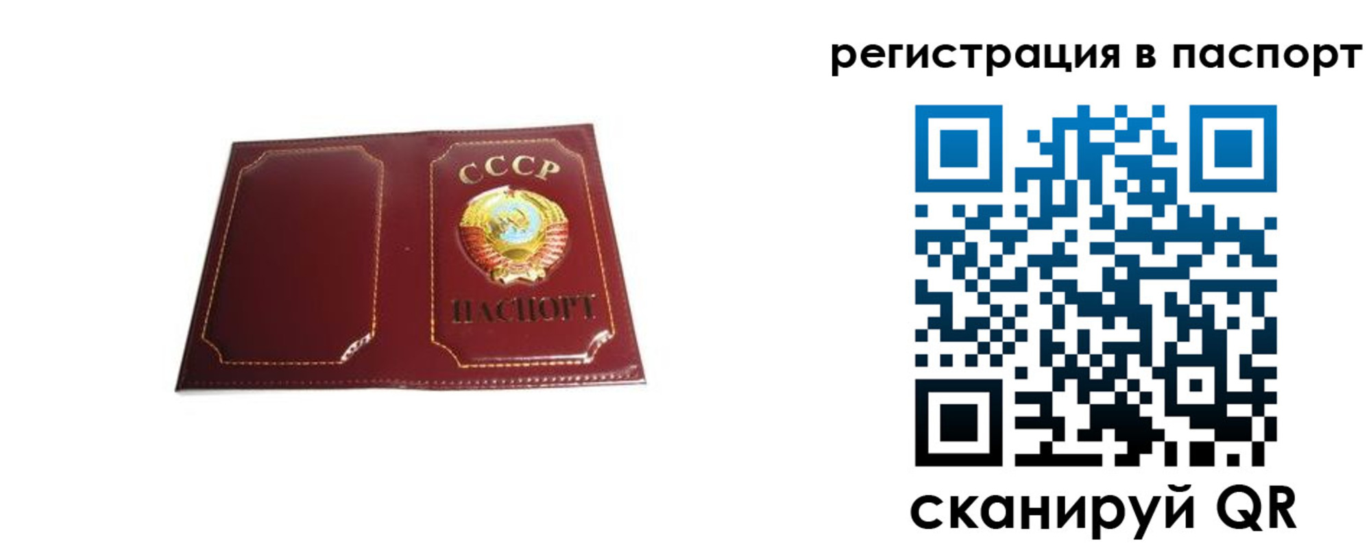прописка 2025 в Изобильном